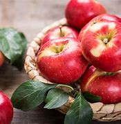 Image result for Fall Fruits and Vegetables