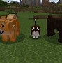 Image result for Domestic Pets Mod