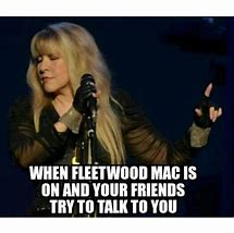 Image result for Stevie Nicks Meme