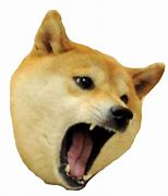 Image result for Cool Dog Meme Sticker