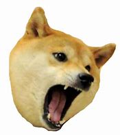Image result for Doge Meme Head