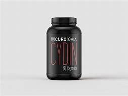 Image result for Cydin