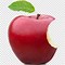 Image result for Black and White Apple Clip Art