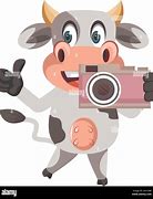 Image result for Cow Looking at Camera Clip Art