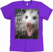 Image result for Playing Opossum Meme