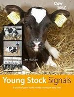 Image result for signals stock