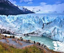 Image result for Calafate