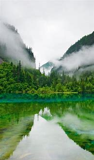 Image result for Foggy Day Wallpaper iPhone