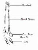 Image result for Horse Bridle Parts Diagram