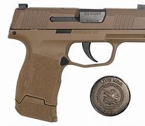 Image result for Sig P365 NRA