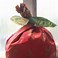 Image result for Little Red Apple Poem