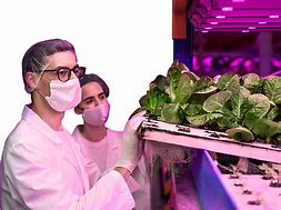 Image result for Sustainable Agriculture