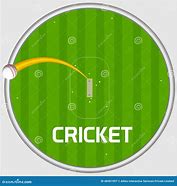 Image result for Cricket Play Ground Showing Sixer