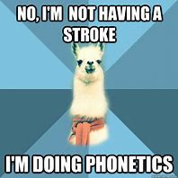 Image result for Phonetics School Memes