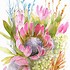 Image result for Watercolor Protea
