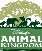 Image result for Animal Keeper Animal Kingdom Disney Job