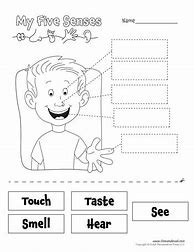 Image result for 5 Senses Worksheet Full Page