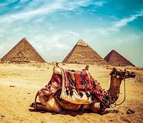Image result for Egyptian Background