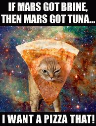 Image result for Cats with Pizza Memes