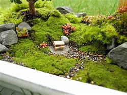 Image result for Moss Fairy Garden