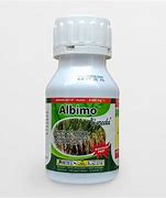 Image result for albimo