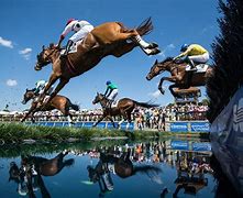 Image result for Steeplechase Horse Falls