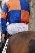 Image result for Thoroughbred Race Horse