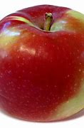 Image result for Macintosh Apple Fruit