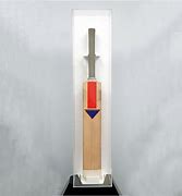 Image result for Acrylic Cricket Bat