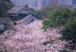 Image result for Fukuoka Tower