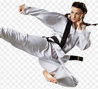 Image result for Karate Kick Martial Arts