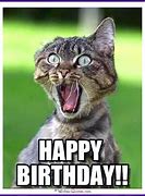 Image result for Happy Birthday Daughter Cat