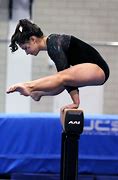 Image result for Famous Gymnastics