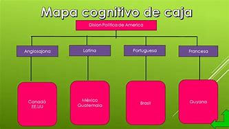 Image result for Mapa Conceptual De Cognitivo
