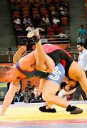 Image result for Professional Wrestling in India