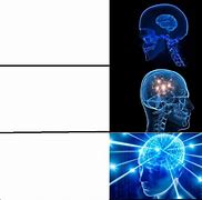 Image result for Three Brain Meme Template Blank