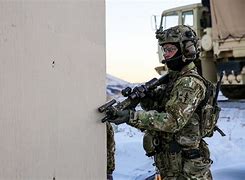 Image result for 19th Special Forces Group Missoula