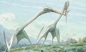 Image result for Biggest Air Dinosaur