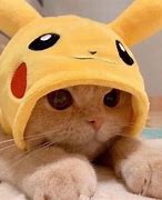 Image result for Cutest Thing Ever in the World