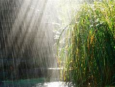 Image result for Beautiful Raining Day
