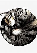 Image result for Round Cat Drawing