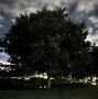 Image result for iPhone 14 Pro Max Night Photography