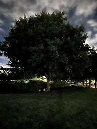 Image result for iPhone 14 Pro Night Mode Before and After