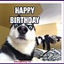 Image result for Happy Birthday MEME Funny