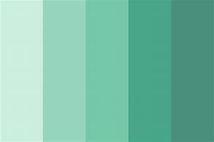 Image result for Seafoam Green Color Combinations