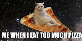 Image result for Cat with Pizza Slice Meme