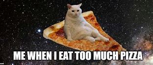 Image result for Cat and Pizza Meme
