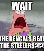 Image result for Funny Steelers vs Bengals