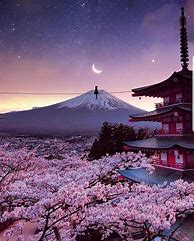 Image result for Aesthetic Places in Japan