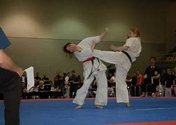 Image result for Karate Kick to the Face